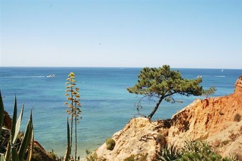 Apartamento Almerinda Albufeira Kültér fotó